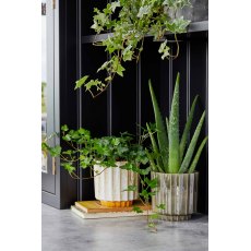 Lugano Scalloped Mustard Reactive Planter H16cm D16cm Lugano Scalloped Mustard Reactive Planter H16cm D16cm