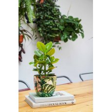 Monza Tropical Floral H13cm D13cm Monza Tropical Floral H13cm D13cm