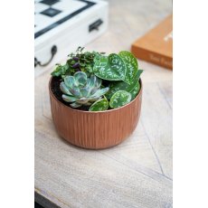 Premium Planting Bowl Copper H10cm D20cm Premium Planting Bowl Copper H10cm D20cm