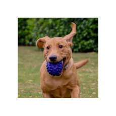 ANCOL Tough Rugby Ball ANCOL Tough Rugby Ball