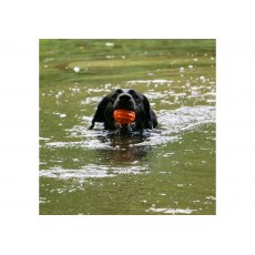 ANCOL Tough Ribbed Ball ANCOL Tough Ribbed Ball