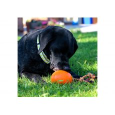 ANCOL Treat Monsters ANCOL Treat Monsters