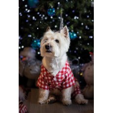 CUPID & COMET Gingham Pyjamas - Small CUPID & COMET Gingham Pyjamas - Small