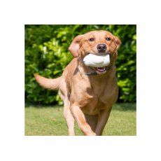 ANCOL Olwen Ice Bear ANCOL Olwen Ice Bear