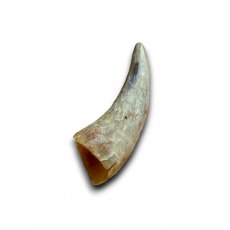 ANCO Naturals Empty Cow Horn - Each ANCO Naturals Empty Cow Horn - Each