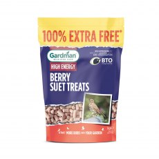 GARDMAN Berry Suet Treats 500g + 100% Extra Free GARDMAN Berry Suet Treats 500g + 100% Extra Free