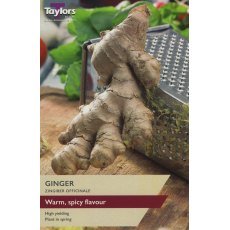 GINGER (ZINGIBER OFFICINALE) GINGER (ZINGIBER OFFICINALE)