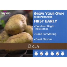 SEED POTATO - FIRST EARLY 'Orla' 2kg SEED POTATO - FIRST EARLY 'Orla' 2kg