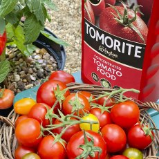 LEVINGTON®  Tomorite® Concentrated Tomato Food   1.2L LEVINGTON®  Tomorite® Concentrated Tomato Food   1.2L