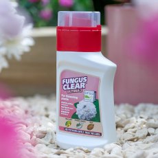 FUNGUSCLEAR Ultimate 2 Concentrate 210ml FUNGUSCLEAR Ultimate 2 Concentrate 210ml