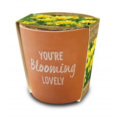 TAYLORS Blooming Lovely Teracotta Pot TAYLORS Blooming Lovely Teracotta Pot