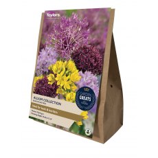TAYLORS Allium Collection TAYLORS Allium Collection