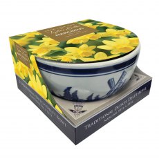 TAYLORS Delft Bowl Narcissus Tete A Tete TAYLORS Delft Bowl Narcissus Tete A Tete