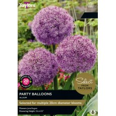 TAYLORS Allium Party Balloons TAYLORS Allium Party Balloons