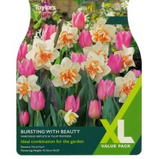 TAYLORS Bursting With Beauty TAYLORS Bursting With Beauty