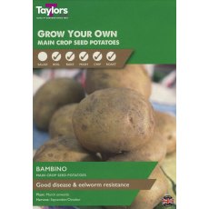 SEED POTATO - Bambino - Taster Pack SEED POTATO - Bambino - Taster Pack