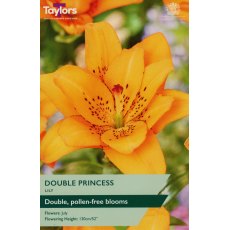 TAYLORS Lily Double Princess TAYLORS Lily Double Princess