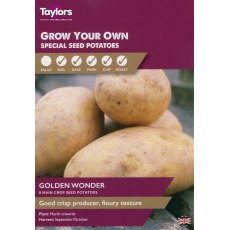 SEED POTATO - Golden Wonder - Taster Pack SEED POTATO - Golden Wonder - Taster Pack