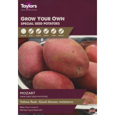 SEED POTATO - Mozart - Taster Pack SEED POTATO - Mozart - Taster Pack