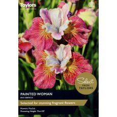 TAYLORS Iris Sib. Painted Woman - Special Edition TAYLORS Iris Sib. Painted Woman - Special Edition