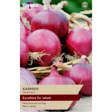 ONION 'Karmen' ONION 'Karmen'
