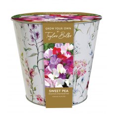 TAYLORS Zinc Floral Sweet Pea Planter TAYLORS Zinc Floral Sweet Pea Planter