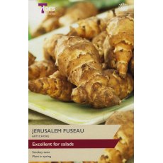 JERUSALEM ARTICHOKE Fuseau JERUSALEM ARTICHOKE Fuseau