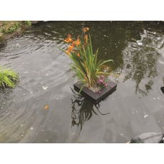 PONDXPERT Floating Planter Square 25cm PONDXPERT Floating Planter Square 25cm