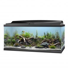 CIANO Aquarium 80 LED Black *New* CIANO Aquarium 80 LED Black *New*