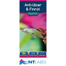 Aquarium Anti-Ulcer & Finrot 100ml Aquarium Anti-Ulcer & Finrot 100ml