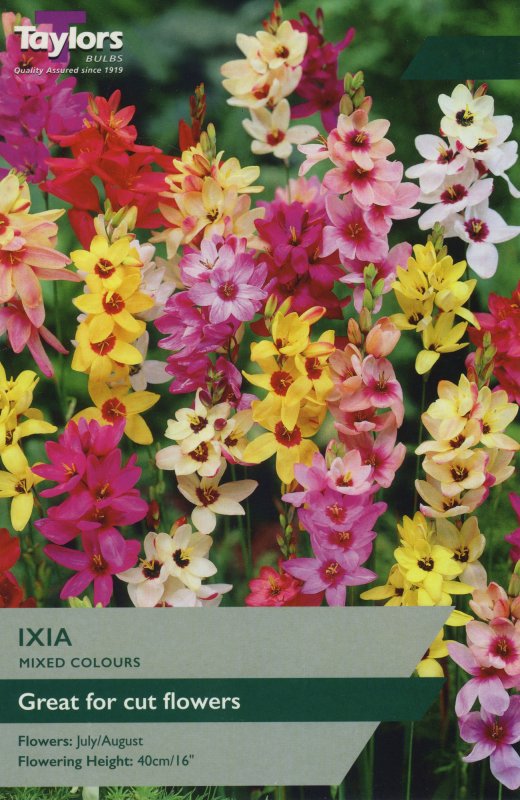 TS753 Ixia Mixed