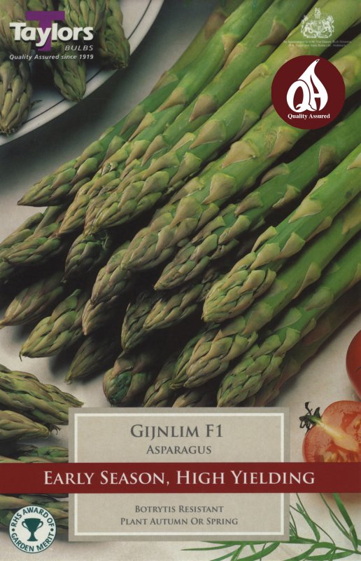 SVEG8 Asparagus Gijnlim F1