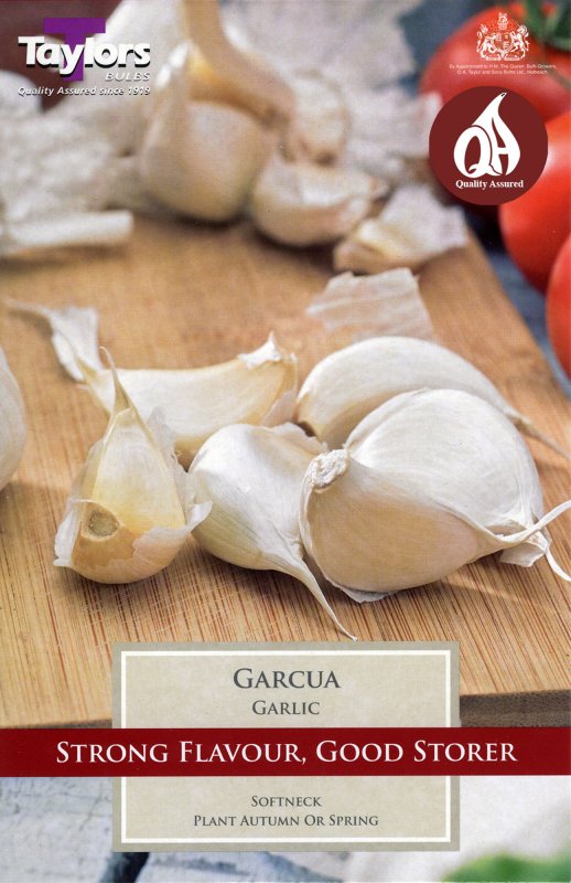 AVEG19 Garlic Garcua052