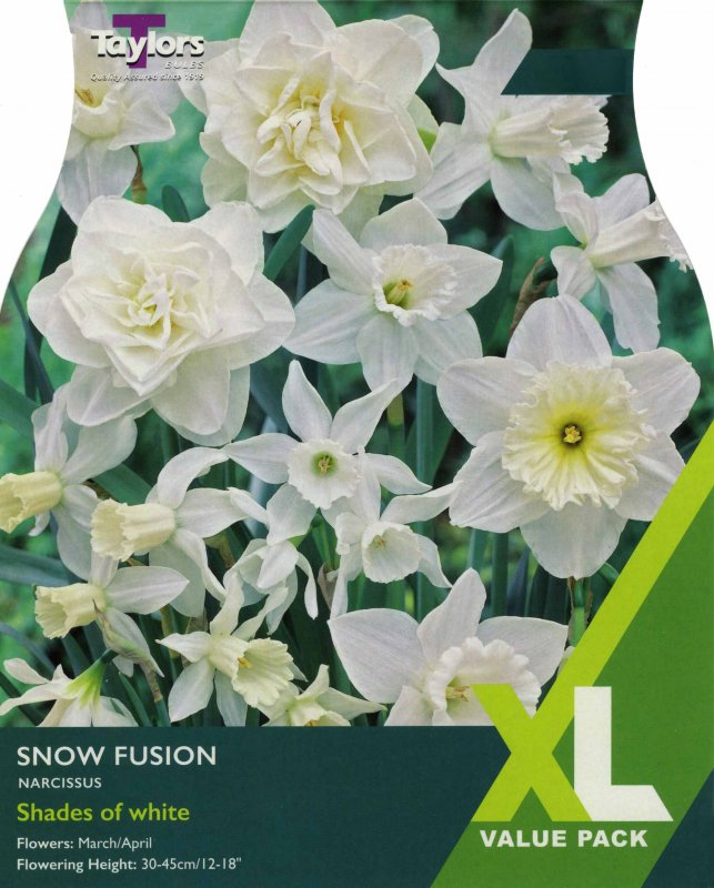 XL143 Snow Fusion