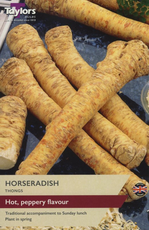 SVEG18 Horseradish