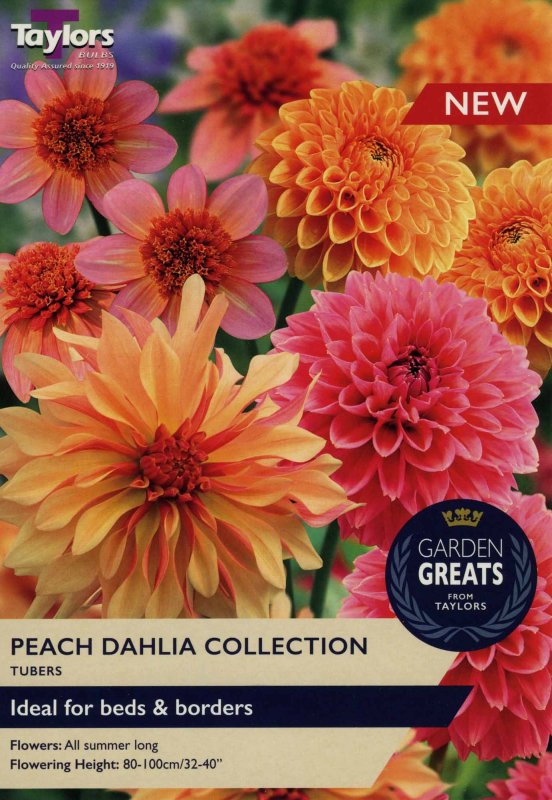 SV314 Peach Dahlia Collection