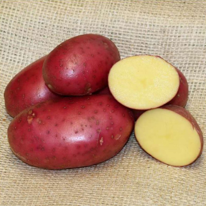 POTATO ORGANIC ALOUETTE