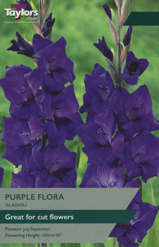 TS131 Purple Flora