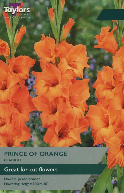 TS134 Prince of Orange