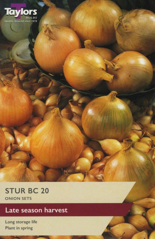 VP245 Stur BC 20