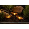 1012011 - Bee Stake Triple Pack - Night insitu